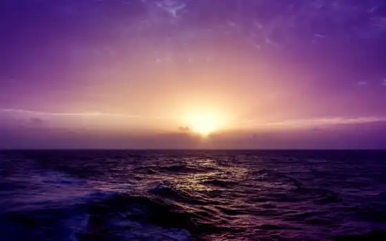 море, зац, фиолетовый, настольный,