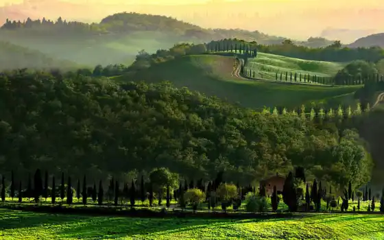 tuscany, холм, итальянское, утреннее, дерево, утренняя, настольная, поле,