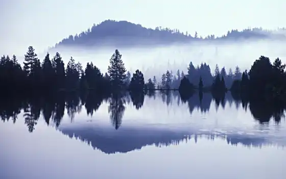 сегодня, тихий, задний, задний, задний, озеро, оно, бесплатно, туман, широкий экран,