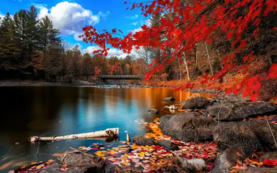 осень, река, деревья, фотографии, штифты, pinterest, мост,