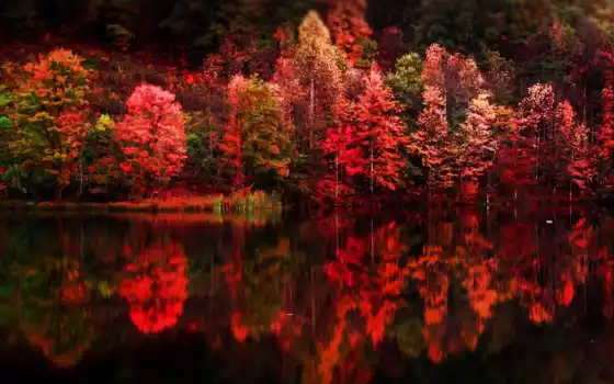 осени, краски, яркие, воде, отражение, природа, осень, 