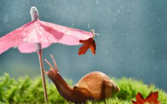 snail, дождь, зонтик, id, makryi, настроение, листочек, картинка