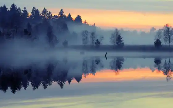 туман, озеро, рассвет, лес