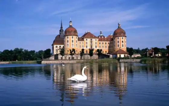 обои на рабочий стол, красивые картинки, картинки для ipad, обои для android