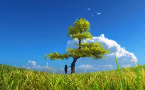 небо, природа, облако, дерево, трава