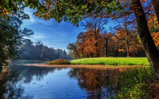 jezioro, деревья, голленд, гобелен, осень, свободный, настольный, нидерланды,