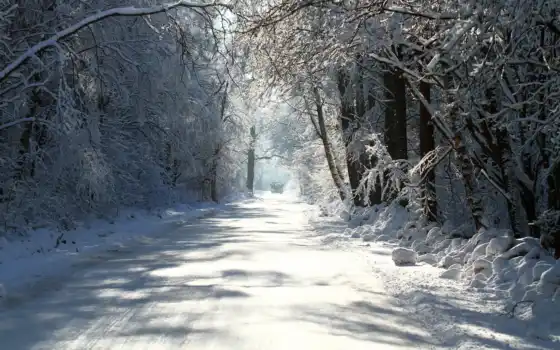 зима, деревья, дорога, картинку, картинка, кнопкой, мыши, 