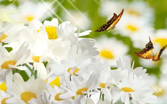 обои на рабочий стол, красивые картинки, картинки для ipad, обои для android