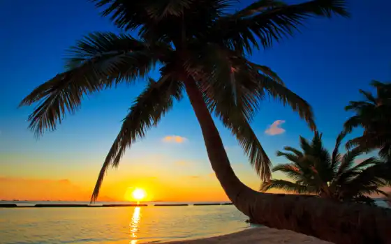 закат, maldives, sun, море, ocean, небо, мальдивах, palm, картинка, закаты, 