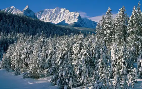 alberta, fairview, настольный, седло, снег, пейзажи, твит, зима, горы,