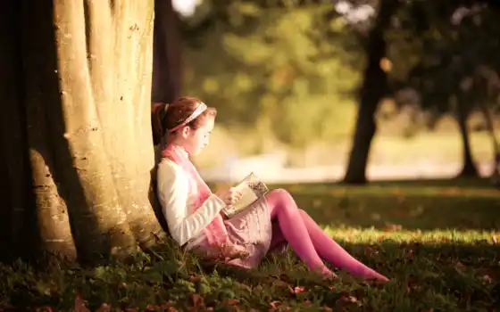 книга, прочитать, под, дерево