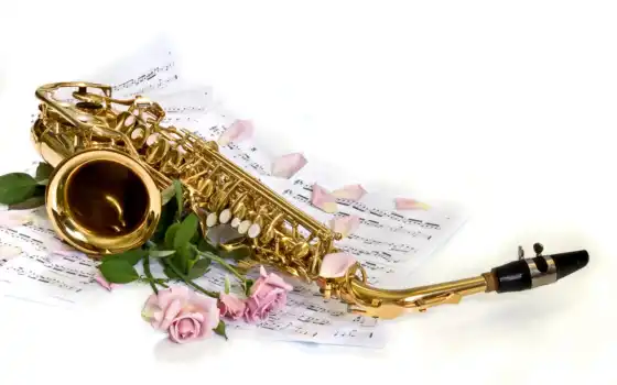 саксофон, розы, лепестки, белые, ноты, цвета,
