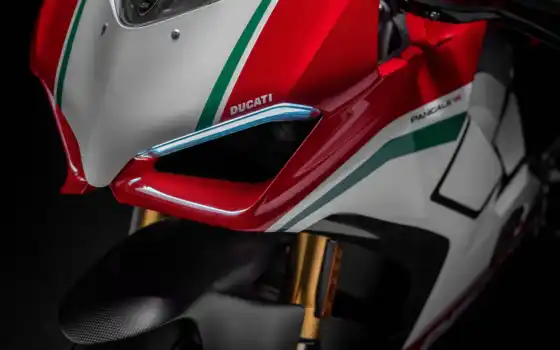 panigale, ducati, speciale, new,