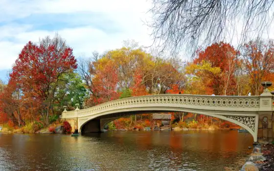 мост, осень, парок