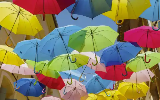 зонтик, улица