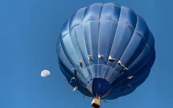 воздушный шар, двойной, голубой, uçan, задний, воздух, бальон, пояс, муха