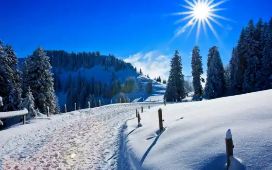 зима, жизнь, день, солнце, солнце, луч