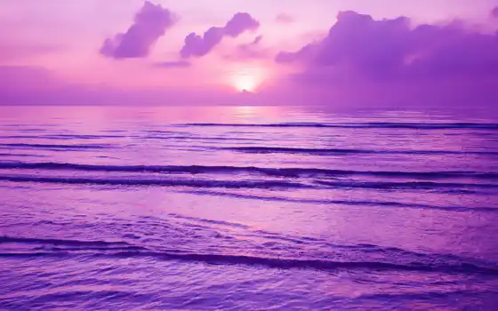 закат, фиолетовый, фон, фото
