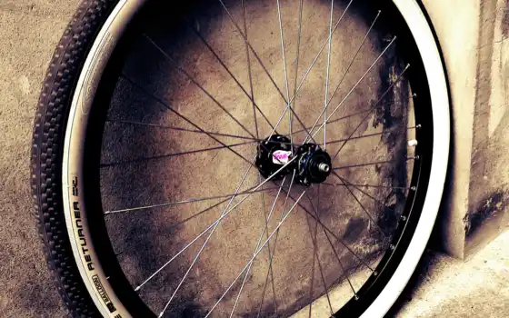 ,,, колесо, велосипедная шина, колесо велосипеда, колесо колесо колесо, колесо колесо колесо, автомобильная шина, обод, спецца