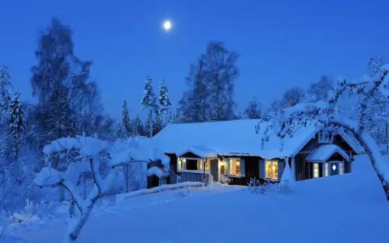 зима, дом, надува, пейзаж, деревья, пин, луна, сладкая,