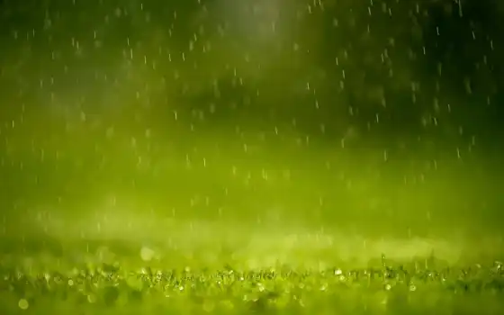 фон, фотографии, трава, капли, дождь, весна, природаза,