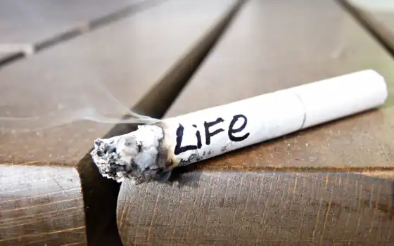 сигарета, smoking, fact, life, интересно