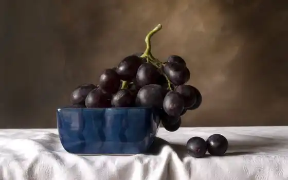 виноград, черный, натюрморт, 
