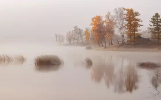 туман, дым, дерево, озеро, природа, река, побережье, лес, утро
