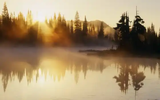 река, туман, утро, рассвет
