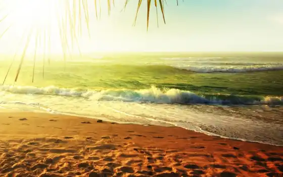 море, песок, пляж, природа, 