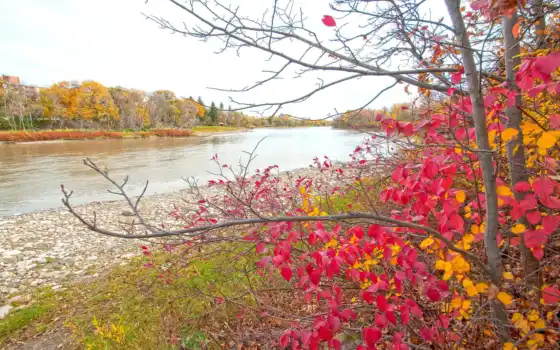 осень, дерево, река, фор, краска, рахимбакер, пекарня, парк,руд