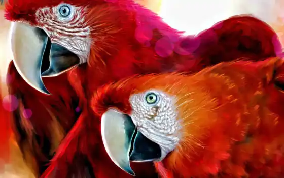 macaw, scarlet, почерпнутый, птичка, красный, животное