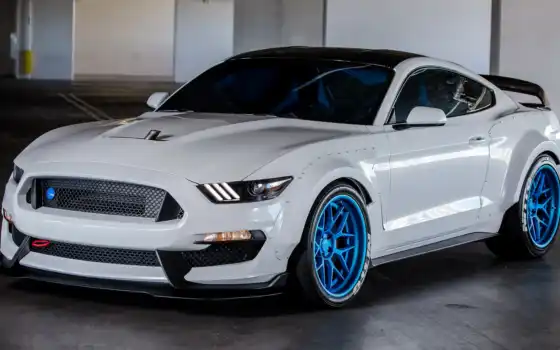 mustang, ford, кельли, купе, shelby