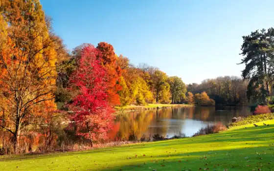 осень, пейзаж, парк, озеро, осенние, деревья, достопримечательности,