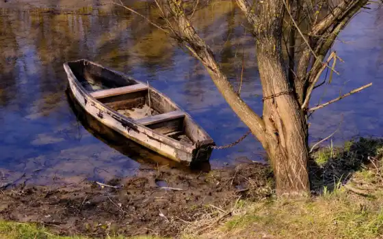 категория, река, совершенно, лодка, дерево, природа, места, красивые, картинка, капельки, 
