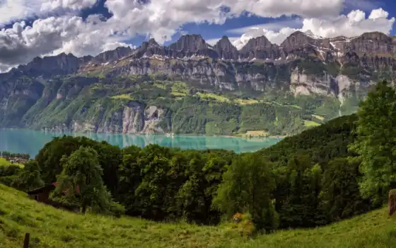 альпы, швейцария, гора, озеро, природа, дерево