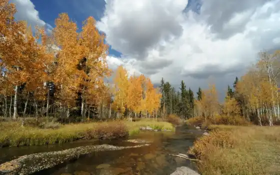осень, пейзаж, река, лес, превью,