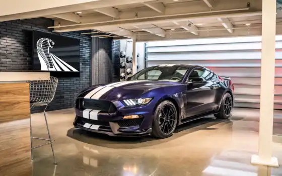 ford, mustang, shelby, car, gt350r