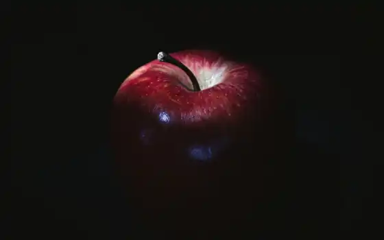 плод, яблоко, мак, темное, красное