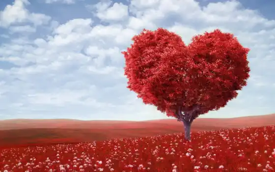 árbol, corazón, arbol, rojo, corazon, pantalla, forma, fundos, las, mejores,