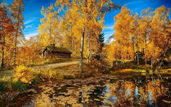 осень, природа, пруд, лес, осени, домики, красиво, норвегия, 