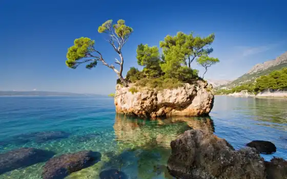 хорваты, березы, море, пейзаж, деревья, скалы, хорватия, кубок,