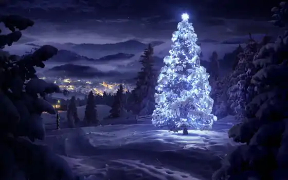 дерев, зимнее, лесное, рисованное, рождественское, елку,