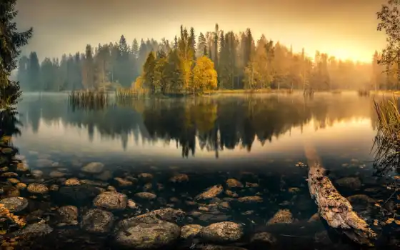 рассвет, озеро, осень, дерев, добавит, природа, ежедневый, вода, пристат, скачеванье