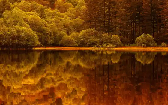 осень, природа, лес, озеро, trees, landscape, 