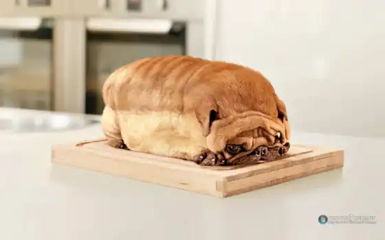 , там, собака, сидя, батон, хлеб