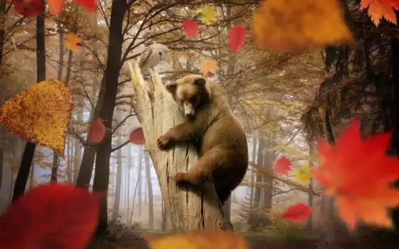 осень, ли, животня, сова, медведь, лес, копы, деревья,