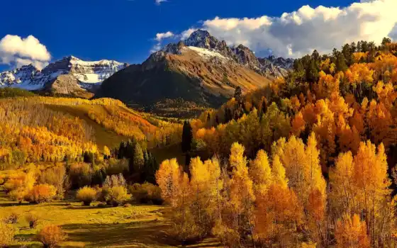 осень, колорадо, лес, снег, дерево, пейзаж, кавказ, место