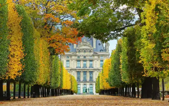 garden, tuilerie, фото