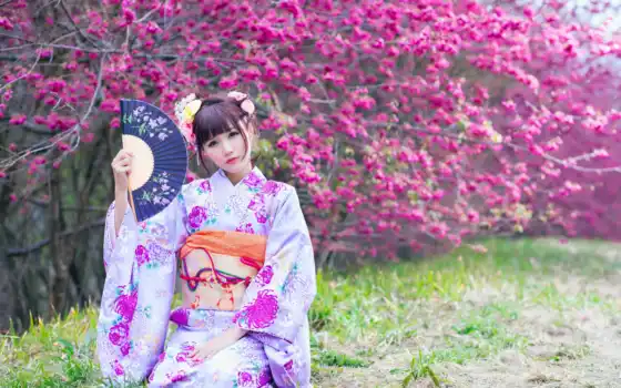 кимоно, japanese, девушка, fan, коллекция, красивый, card, drawing, дерево